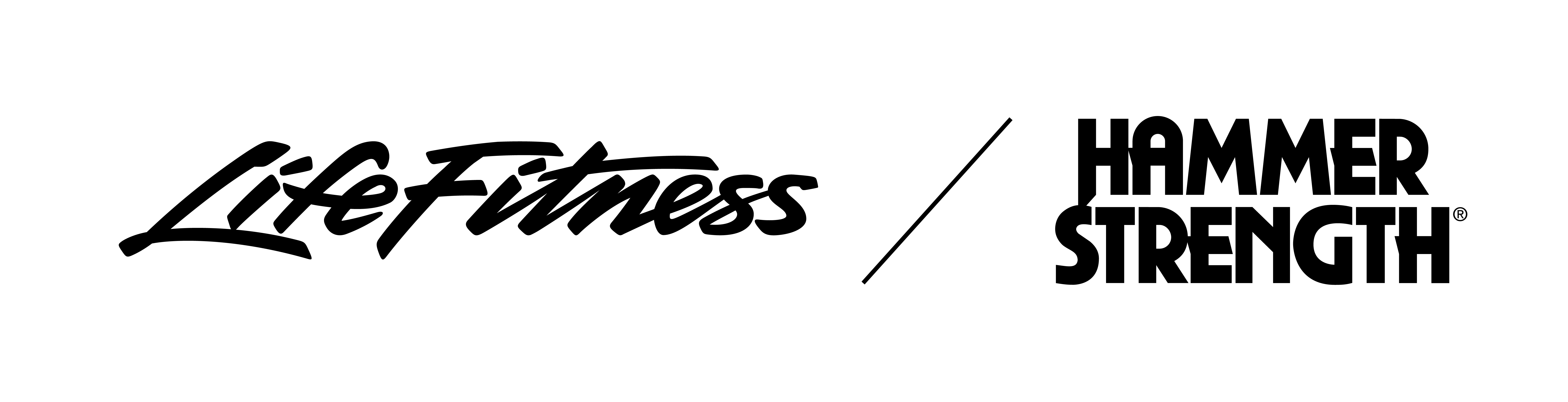Logo Life Fitness